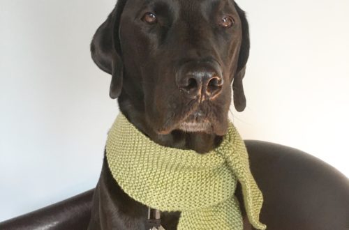 The Puppy Scarf - From Knitting in the Park