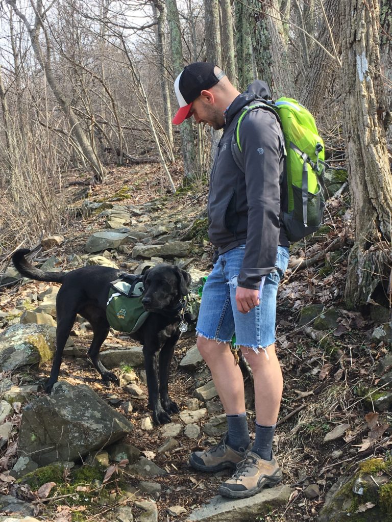 Hike in Shenandoah