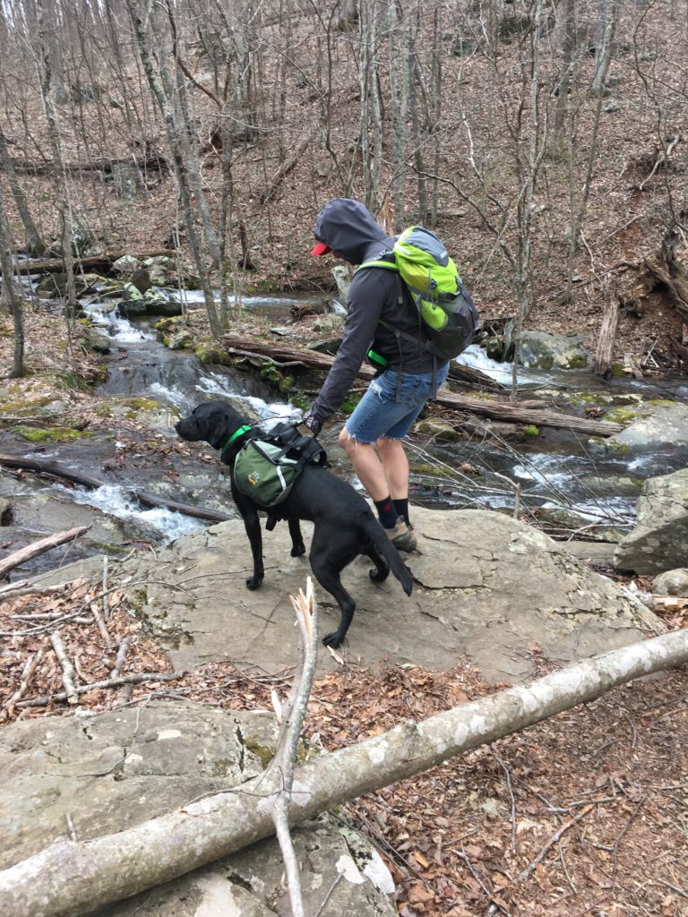 Day two in Shenandoah National Park