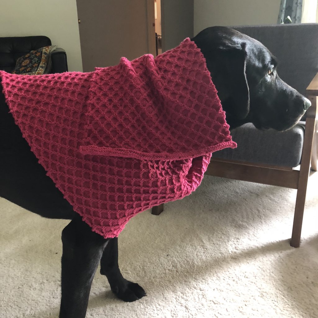 The Bees Knees Shawl - Knitting in the Park