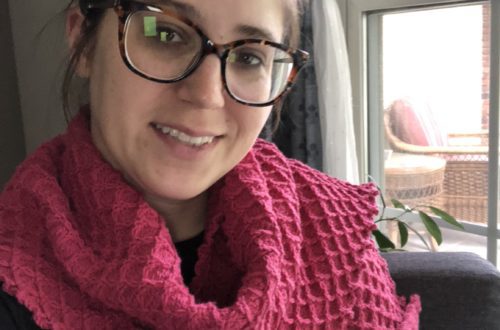 The Bees Knees Shawl - Free Knitting Pattern