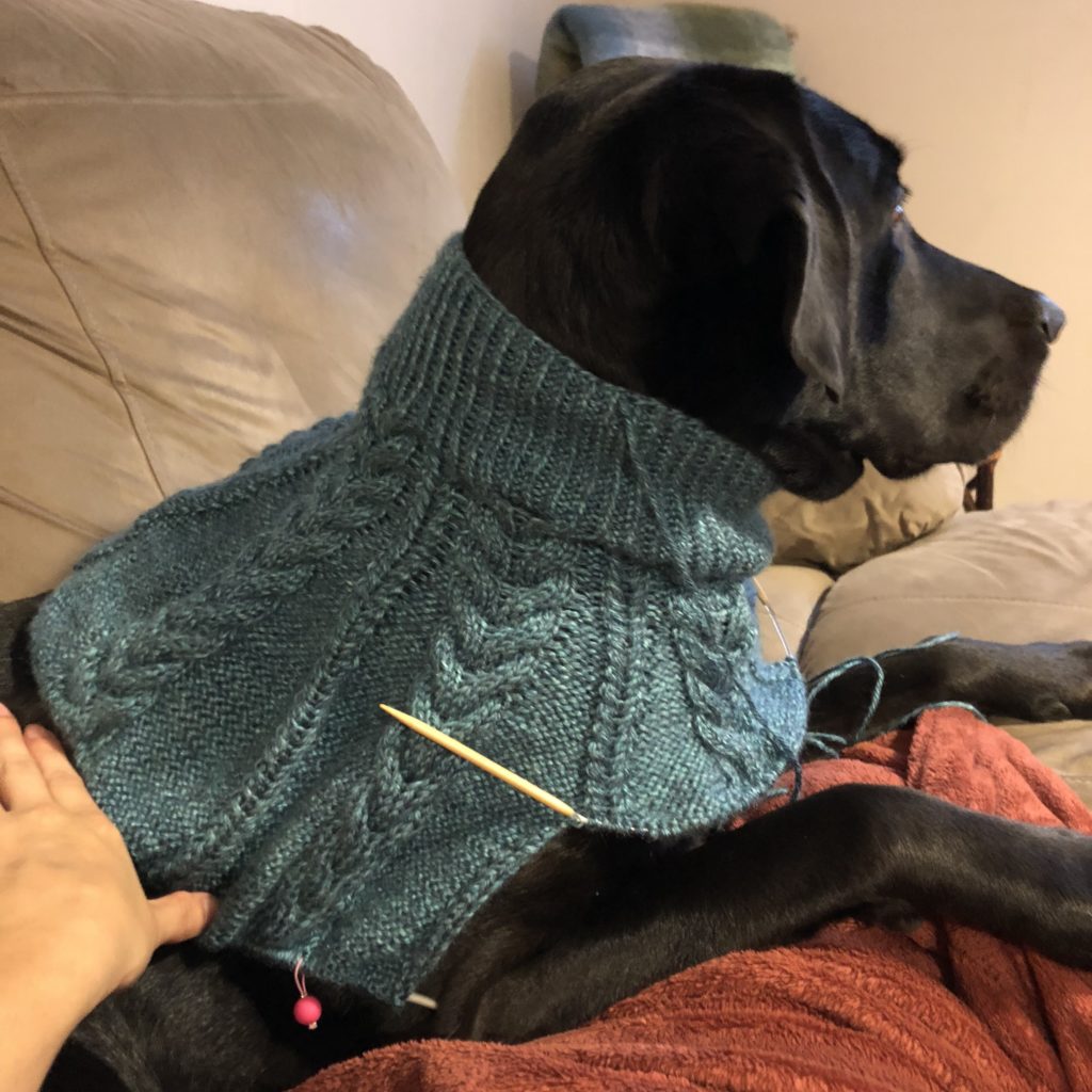 Murphy Modeling a Sweater for Fit