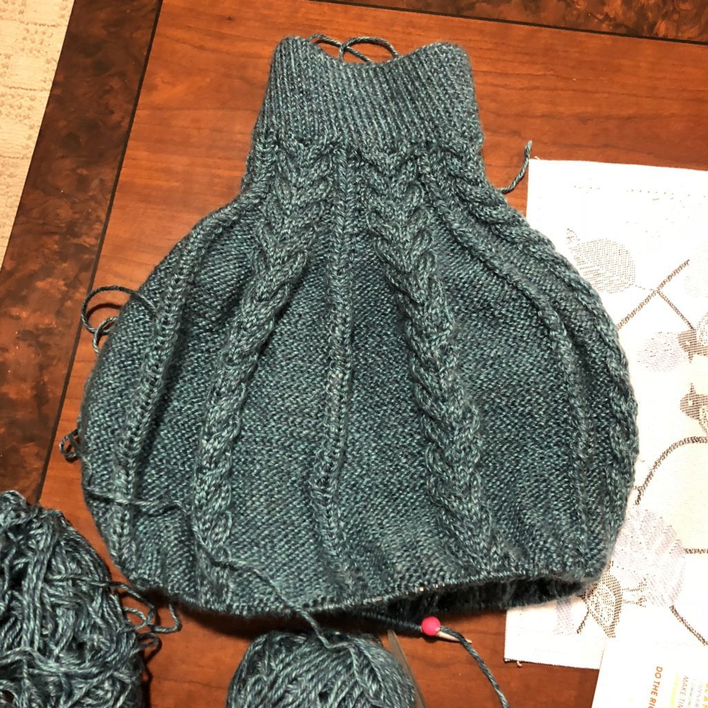 Dog Sweater in Progress