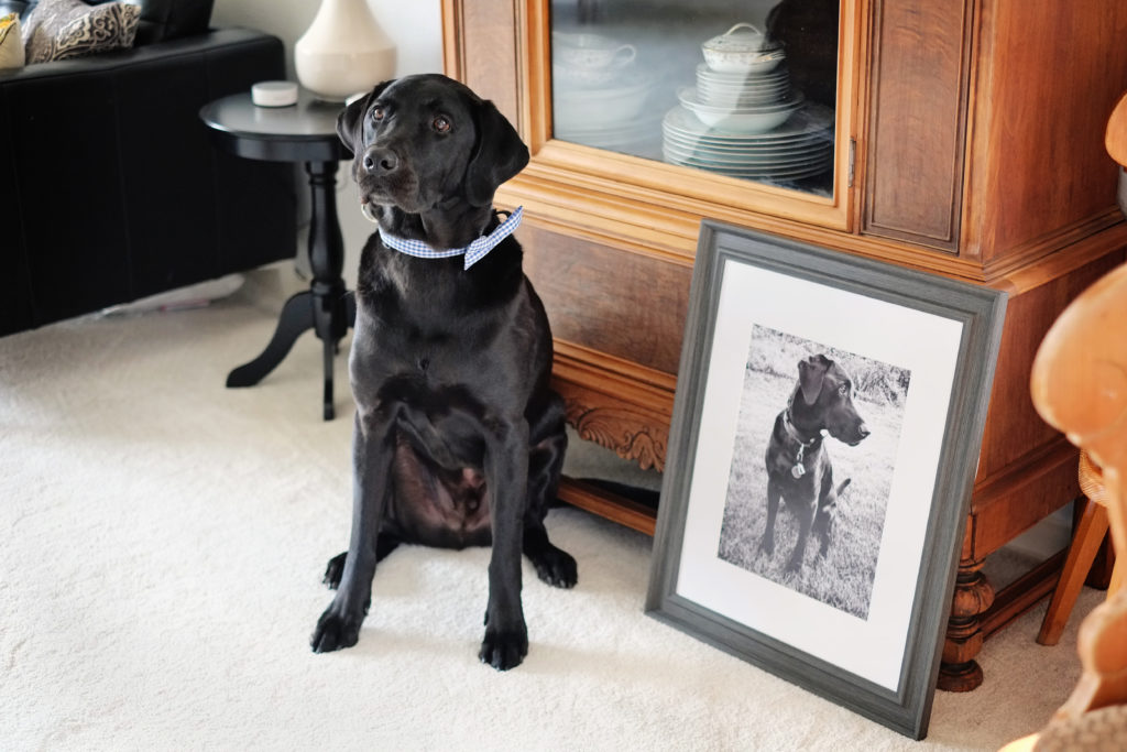 A Note From Murphy to His Parents Wedding Guests