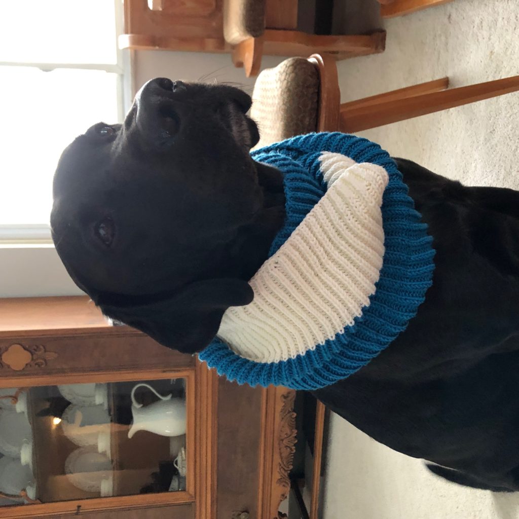 Free Fisherman's Rib Cowl Knitting Pattern