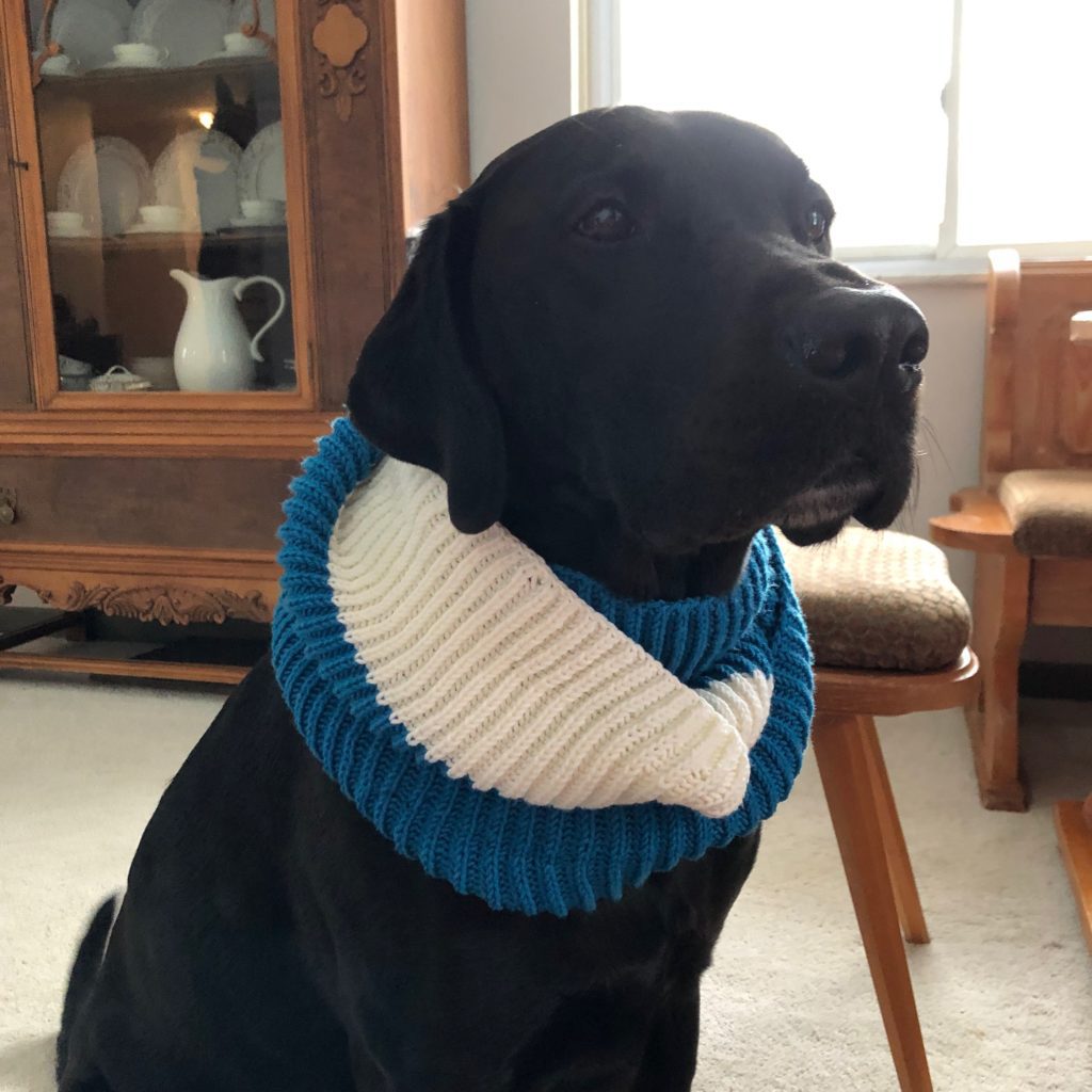 Free Fisherman's Rib Cowl Knitting Pattern