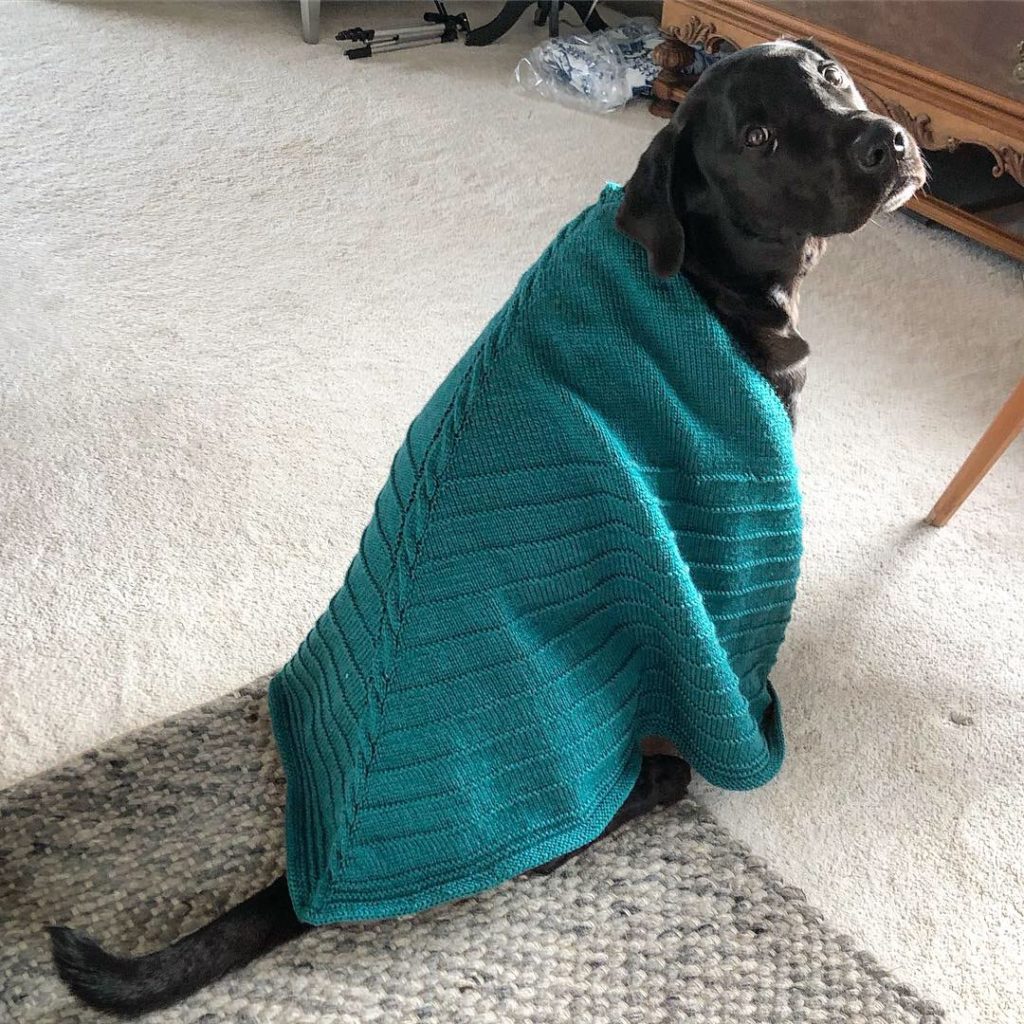Modified Tracks in the Snow Shawl