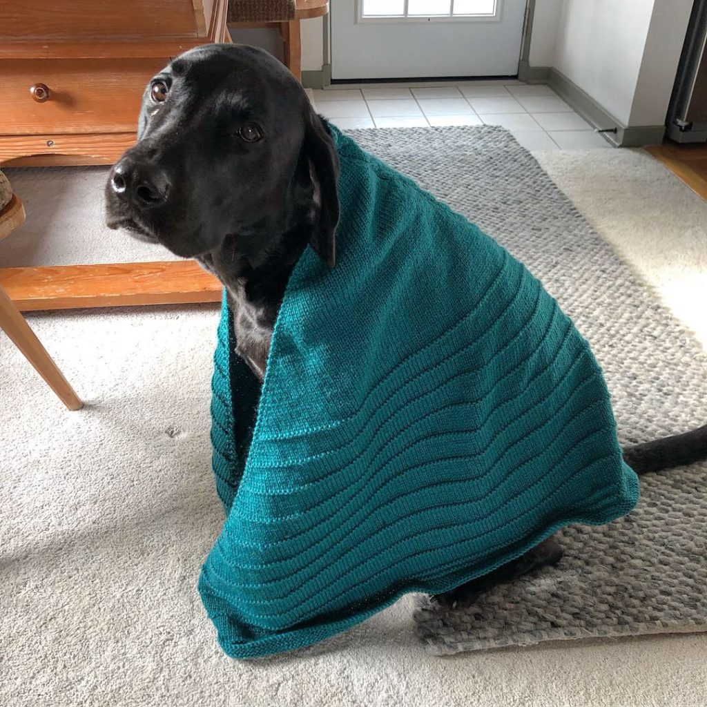 Modified Tracks in the Snow Shawl