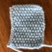 Seed Stitch with Knitting in the Park