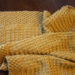 Free Pattern Friday - Andalusian Baby Blanket Pattern Release