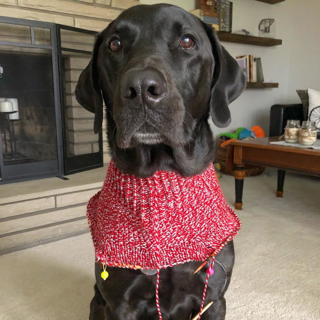 Large Breed Dog Sweater