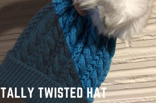 Totally Twisted hat Knitting pattern from Knitting in the Park