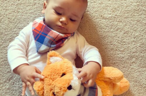 Fynn's Baby Bandana Bibs Tutorial on Knitting in the Park