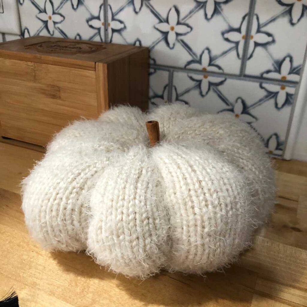 Knitted Pumpkin with Cinnamon Stick Stem