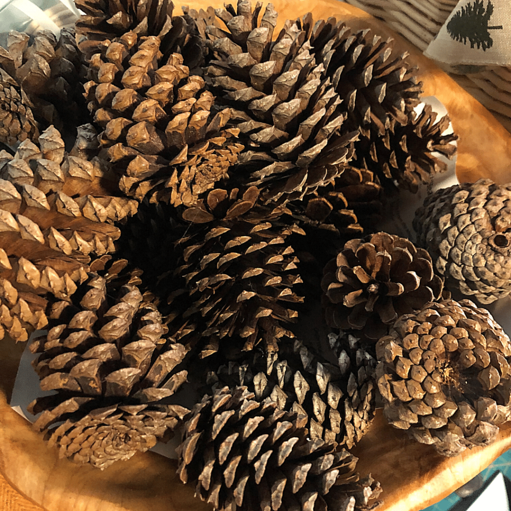 Pinecones for DIY Christmas Ornaments from Knitting in the Park