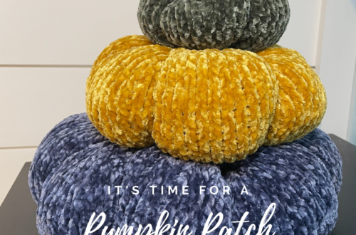 Pumpkin Patch in the Park