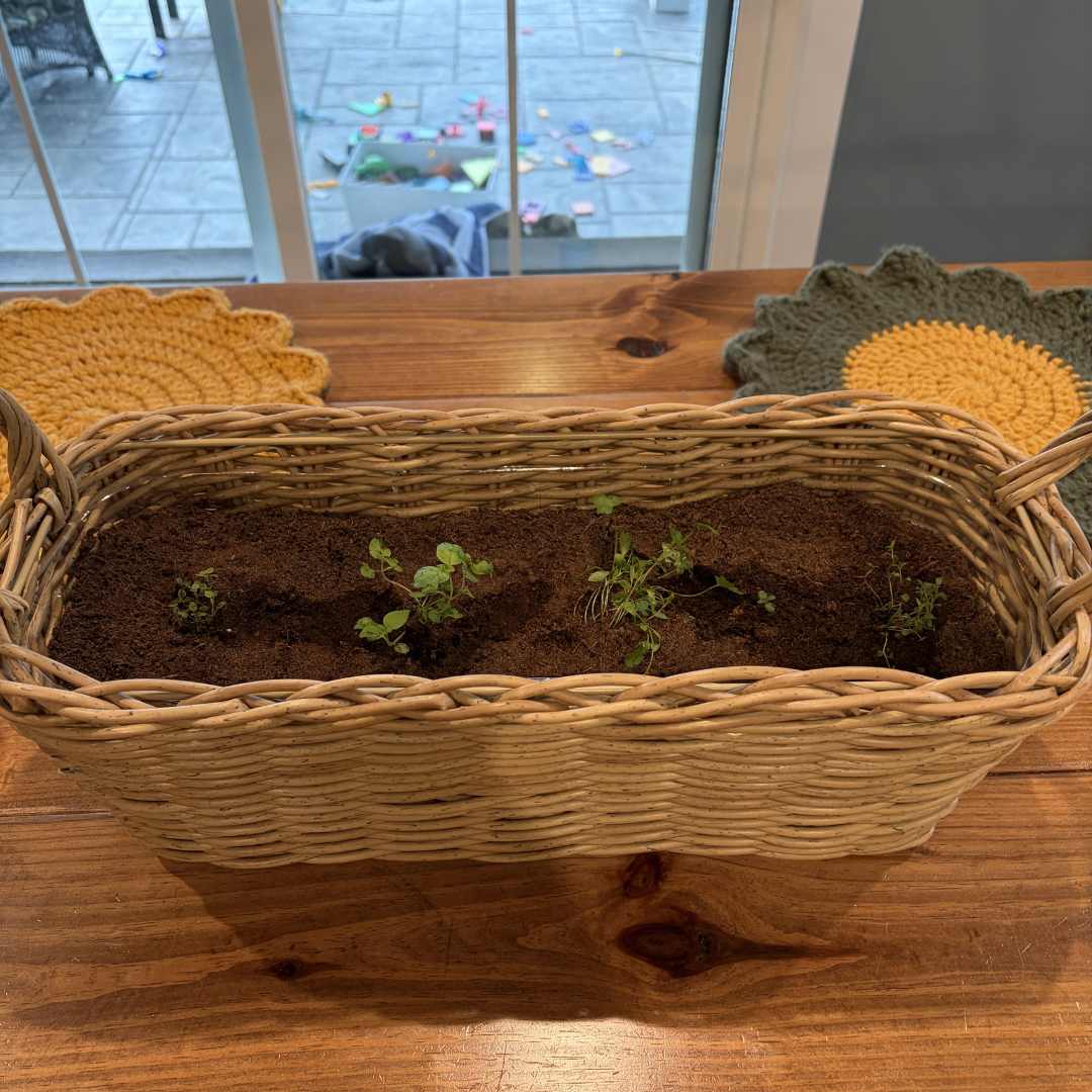 How to make an herb planter basket as a spring table center piece as part of a rustic table setting.