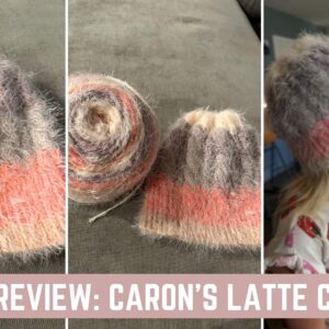Yarn Review Caron's Latte Cakes by Knitting in the park