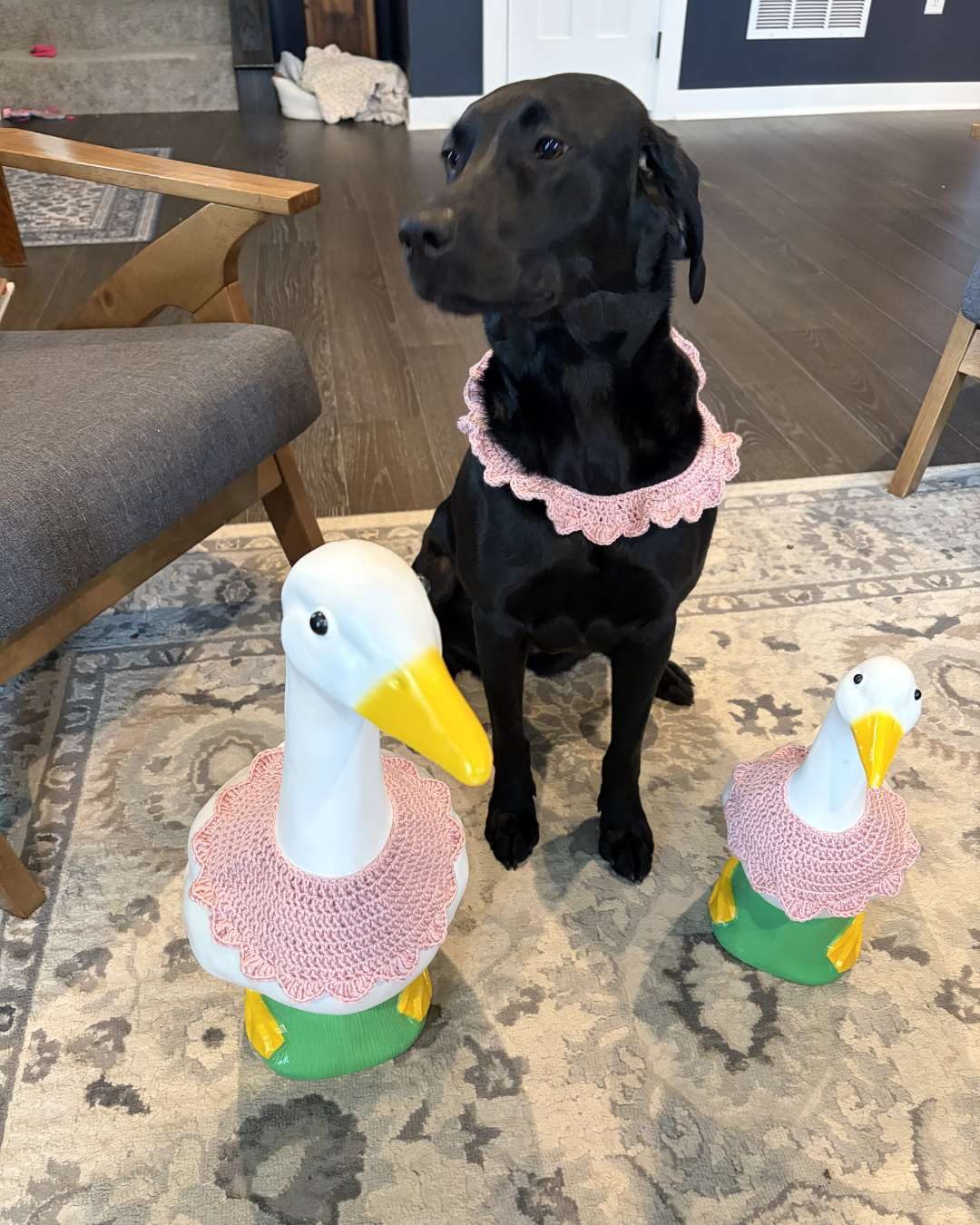 Everyone loved the scalloped crochet bunting! Even the dog and the porch geese had to get some scallops.