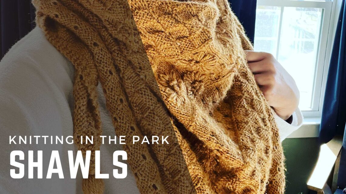 Knitting in the Park Shawls and Cowls