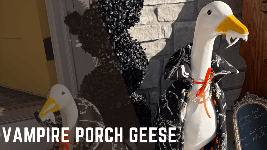 Vampire Porch Geese - A tutorial from Knitting in the Park