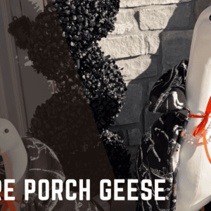 Vampire Porch Geese - A tutorial from Knitting in the Park