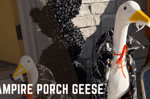 Vampire Porch Geese - A tutorial from Knitting in the Park